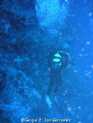Deep Blue. Maria La Gorda, Cuba Abril 2006
Housing and C... by Sergio E. Joo Gonzalez 